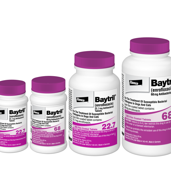 Buy Baytril Antibacterial Tablets for Dogs and Cats Online